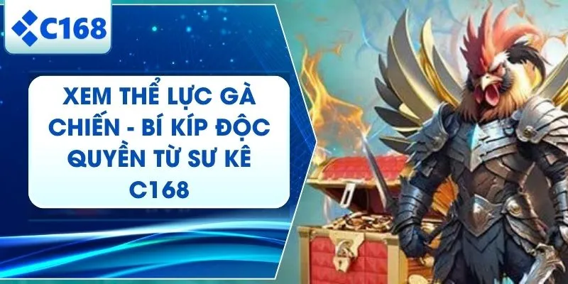 Xem Thể Lực Gà Chiến - Cách Chuyên Gia C168 Nhận Diện Chiến Kê